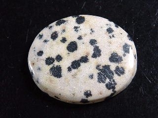 Dalmatian Jasper 30,03 Ct. oval cabochon