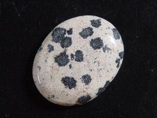 Dalmatian Jasper 25,63 Ct. oval cabochon