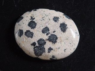 Dalmatian Jasper 25,63 Ct. oval cabochon