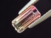 Bicolor Tourmaline 1,10 Ct. - red & white - octagon