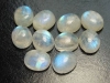 Rainbow Moonstone 12 x 10 mm - oval cabochon