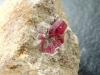 Bixbite / red Beryl - crystals on matrix - fine specimen (947c)