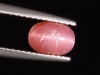 Pezzottaite Catseye - 1,29 Ct. - Madagascar (624d)