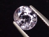 Spinel 1,91 Ct. - oval - Sri Lanka