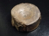 Ichthyosaurus vertebra 45 mm - Mistelgau, Germany