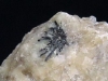 Benstonit Stufe 13 mm - Murun Massiv Sibirien Russland