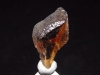 Enstatite crystal 25 mm - facet grade Tanzania