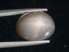 Sternmondstein / Stern Mondstein schwarz 8,61 Ct. Cabochon