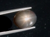 Sternmondstein / Stern Mondstein schwarz 8,75 Ct. Cabochon