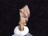 Armstrongite specimen - rare - Gobi desert, Mongolia