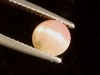 Tourmaline catseye 1,68 Ct. - bicolor round cabochon