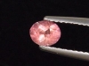Pezzottaite 0,36 Ct. - fine color oval - Madagascar