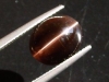 Sillimanite cat's eye 5,88 Ct. oval cabochon Sri Lanka