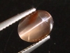 Sillimanite cat's eye 2,36 Ct. oval cabochon Sri Lanka