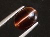 Sillimanite cat's eye 4,72 Ct. oval cabochon Sri Lanka