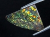 Ammolite 12,55 Ct. fine colorplay - cabochon 24,5 mm