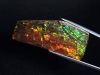 Ammolite 38,97 Ct. multicolor - fancy cabochon 44 mm