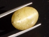Apatite Catseye 20,70 Ct. - oval cabochon - Brazil