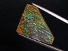 Ammolite 18,87 Ct. fine colorplay - cabochon 31,5 mm