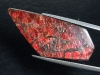 Ammolite 22,91 Ct. multicolor - fancy cabochon 42 mm