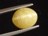Apatite Catseye 6,09 Ct. yellow oval cabochon