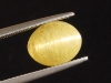 Apatite Catseye 6,43 Ct. yellow oval cabochon
