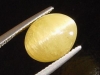 Apatite Catseye 6,73 Ct. yellow oval cabochon