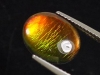 Ammolite 3,32 Ct. fine oval cabochon - Canada