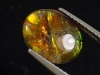 Ammolite 3,77 Ct. fine oval cabochon - Canada
