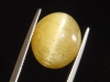 Apatite Catseye 20,61 Ct. yellow oval cabochon