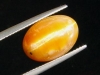 Opal Catseye 8,99 Ct. oval cabochon Brazil