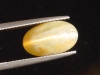 Opal Catseye 6,23 Ct. oval cabochon Brazil