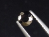 Shungite / Schungite 5 mm round - Onega lake, Russia