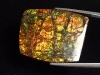 Ammolite 51,04 Ct. fine multicolor - cabochon 32 mm