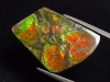 Ammolite 21,84 Ct. fine multicolor - cabochon 29 mm