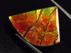 Ammolite 19,70 Ct. multicolor - fancy cabochon 21 mm