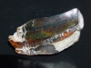 Green Amber 13,63 gr - 4,8 cm - Dominican Republic