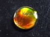 Ammolite 2,24 Ct. fine round cabochon Canada