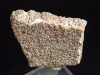Saltasaurus egg shell 30 mm - 70 mio. years - Argentina