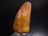 Carcharadontosaur Dinosaur tooth - 4,9 cm - Morocco