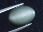 Preview: Quartz cat's eye 7,24 Ct. oval cabochon