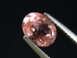 Preview: Tourmaline pink 1,54 Ct. oval Brazil