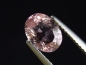 Preview: Tourmaline pink 1,09 Ct. oval Brazil