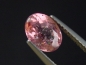 Preview: Tourmaline pink 1,55 Ct. oval Brazil