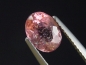 Preview: Tourmaline pink 1,55 Ct. oval Brazil
