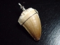 Preview: Mosasaur tooth pendant 925 silver - 5,2 cm - Mosasaurus Dinosaur