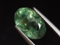 Preview: Apatit 5,22 Ct. Grün - Oval 12 x 8,5 mm