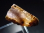 Preview: Axinite / Magnesioaxinite crystal 30 mm - Merelani, Tanzania