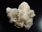 Preview: Stilbit Stufe 90 mm - Dekkan Trapp, Indien