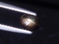 Preview: Star Sapphire 0,89 Ct. black golden cabochon